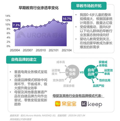 2021年移動(dòng)互聯(lián)網(wǎng)母嬰親子行業(yè)研究報(bào)告